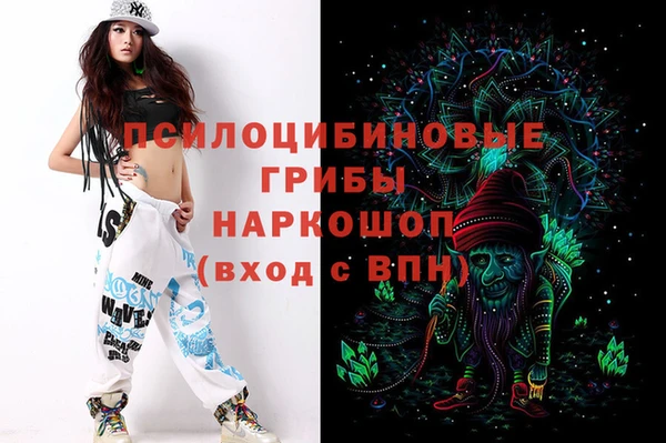 спиды Аркадак