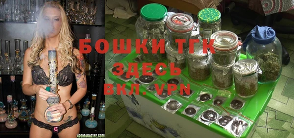 спиды Аркадак