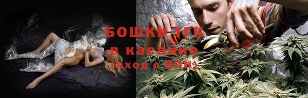 спиды Аркадак