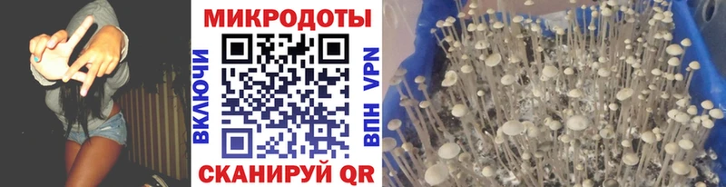 Псилоцибиновые грибы мицелий  где продают наркотики  Белокуриха 